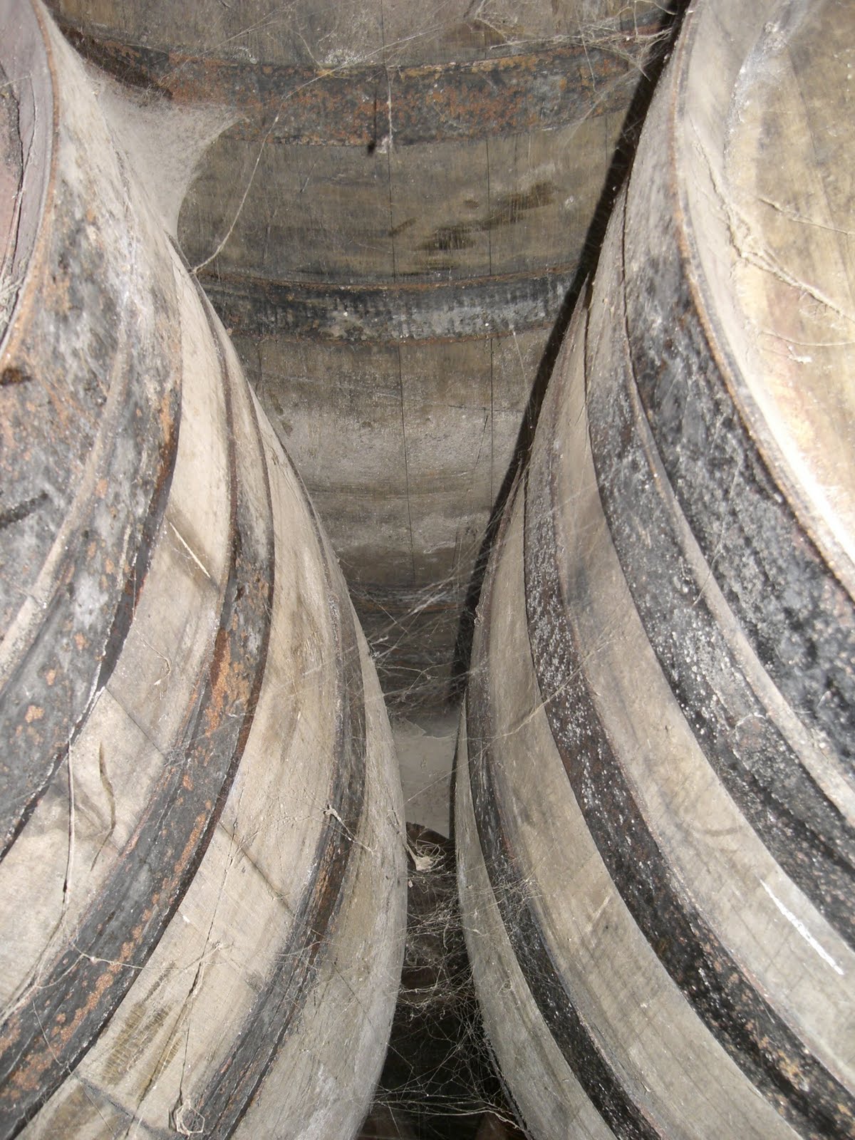 [CIMG3799.JPG]