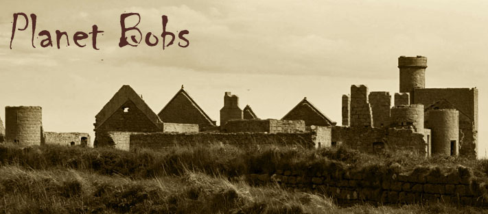 Planet Bobs