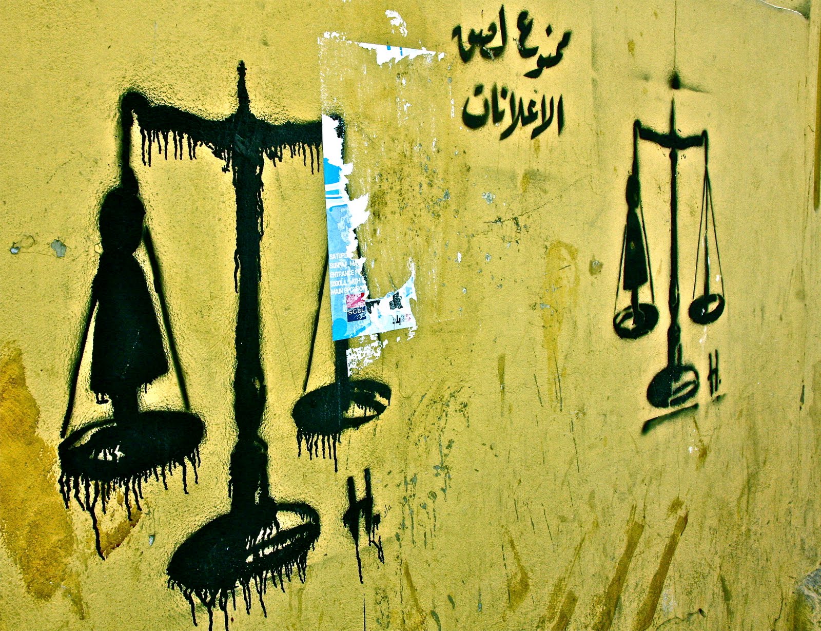 [IMG_8673.JPG]