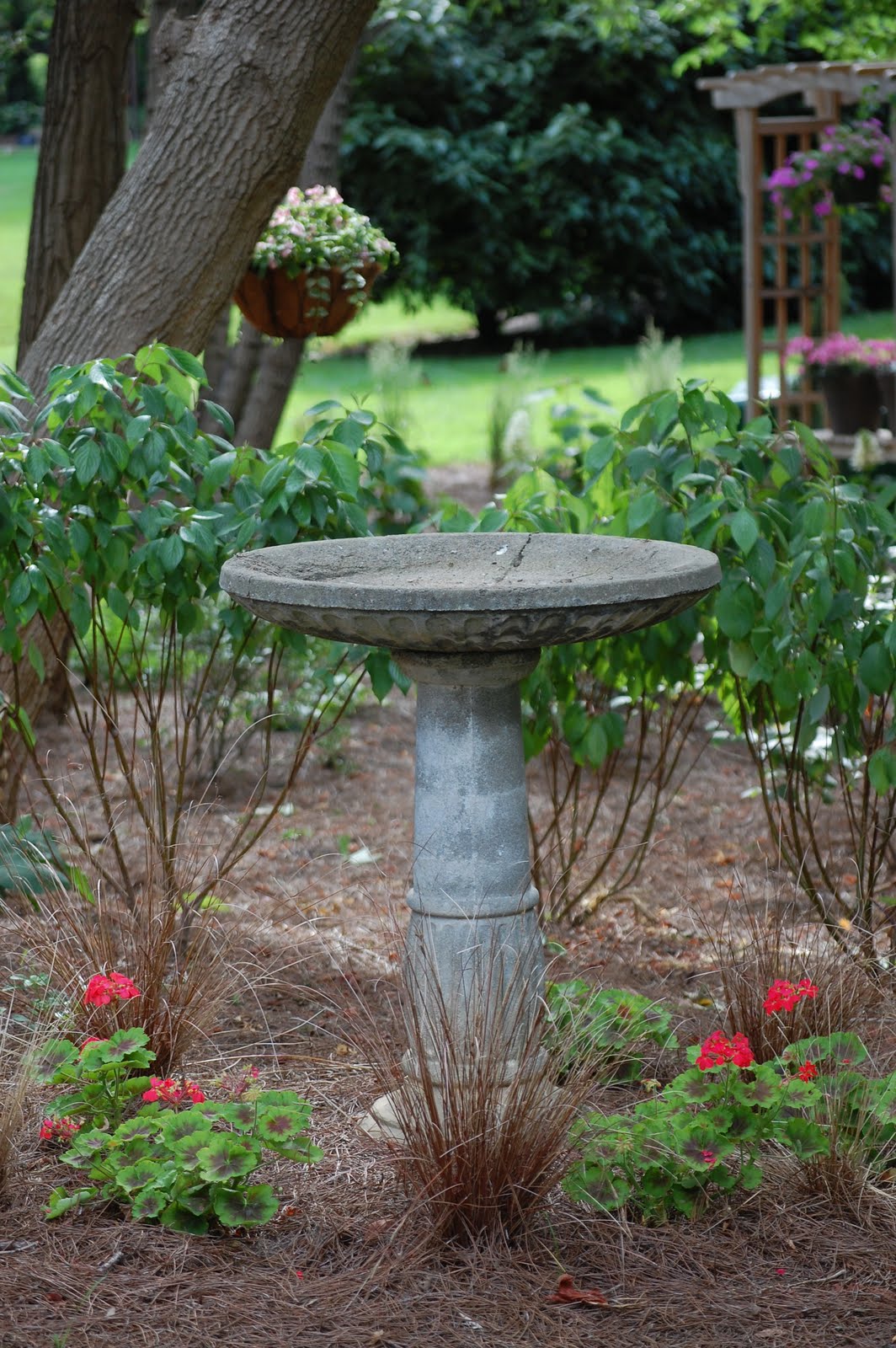 The Hesitant Gardener: Before and After ~ The Bird Bath Area