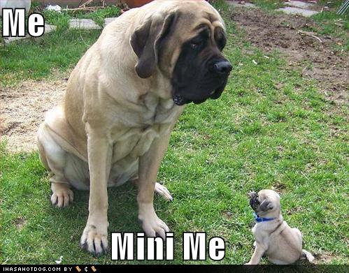 [Me+Mini+Me.bmp]