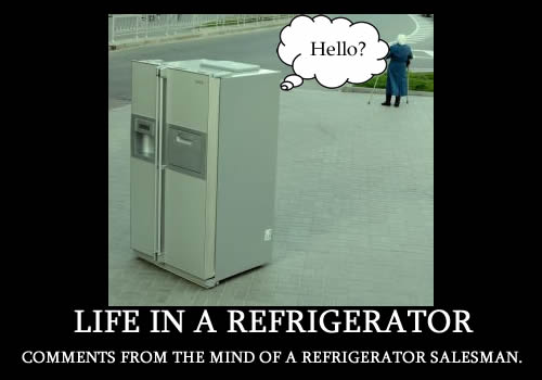 Life In a Refrigerator