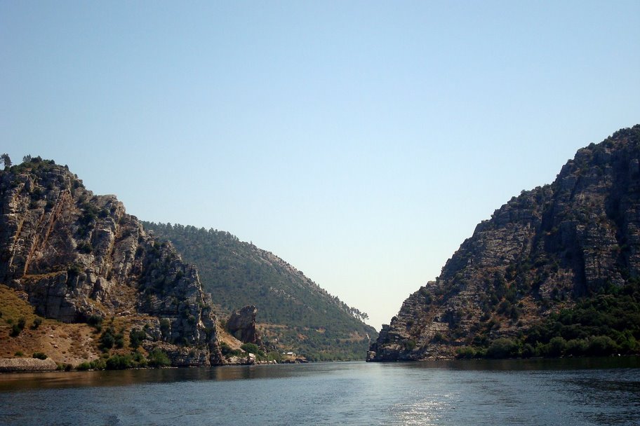 [DSC02127.JPG]