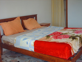 chambre avec un grand lit
