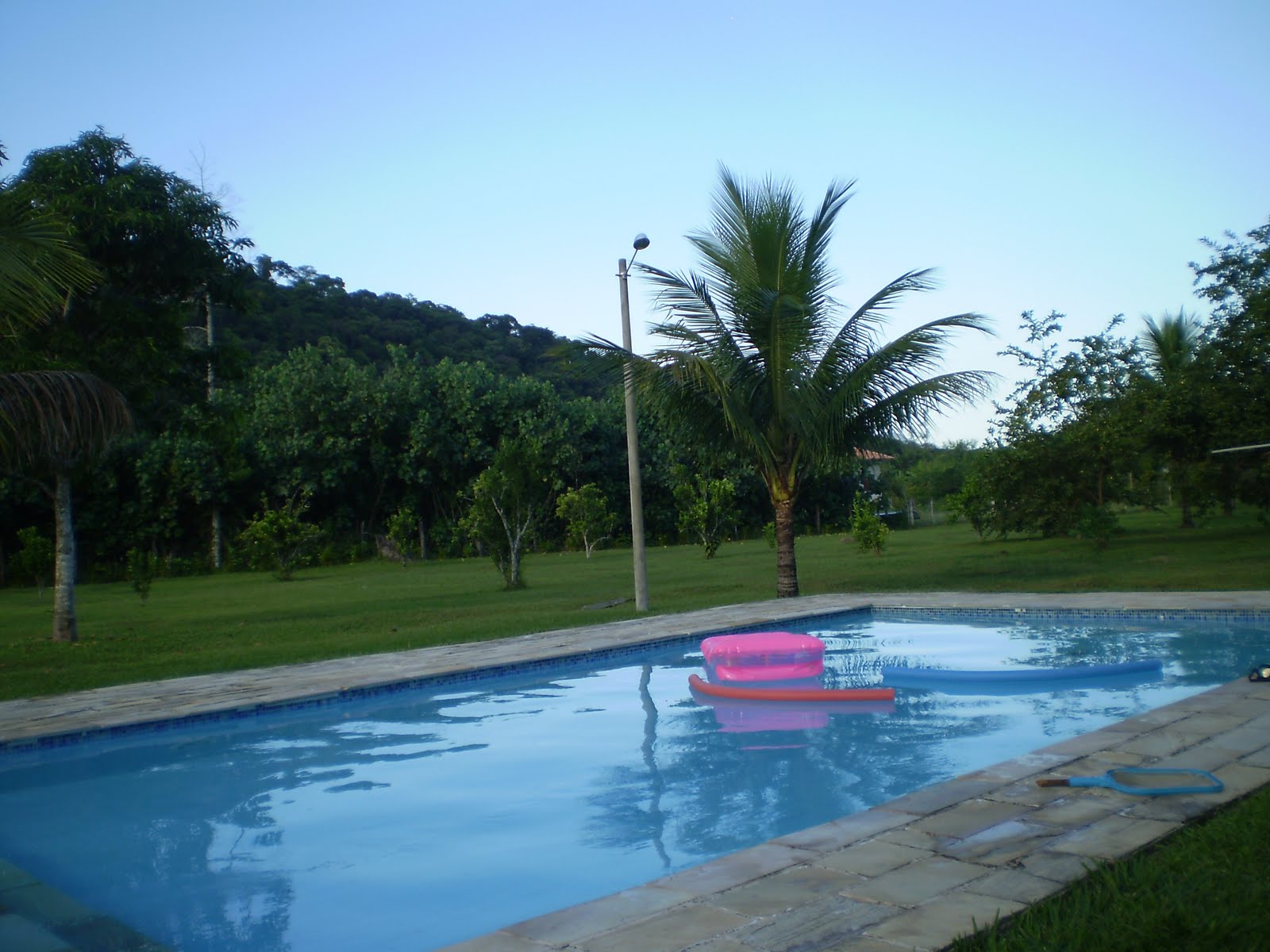 [P6144216.JPG]