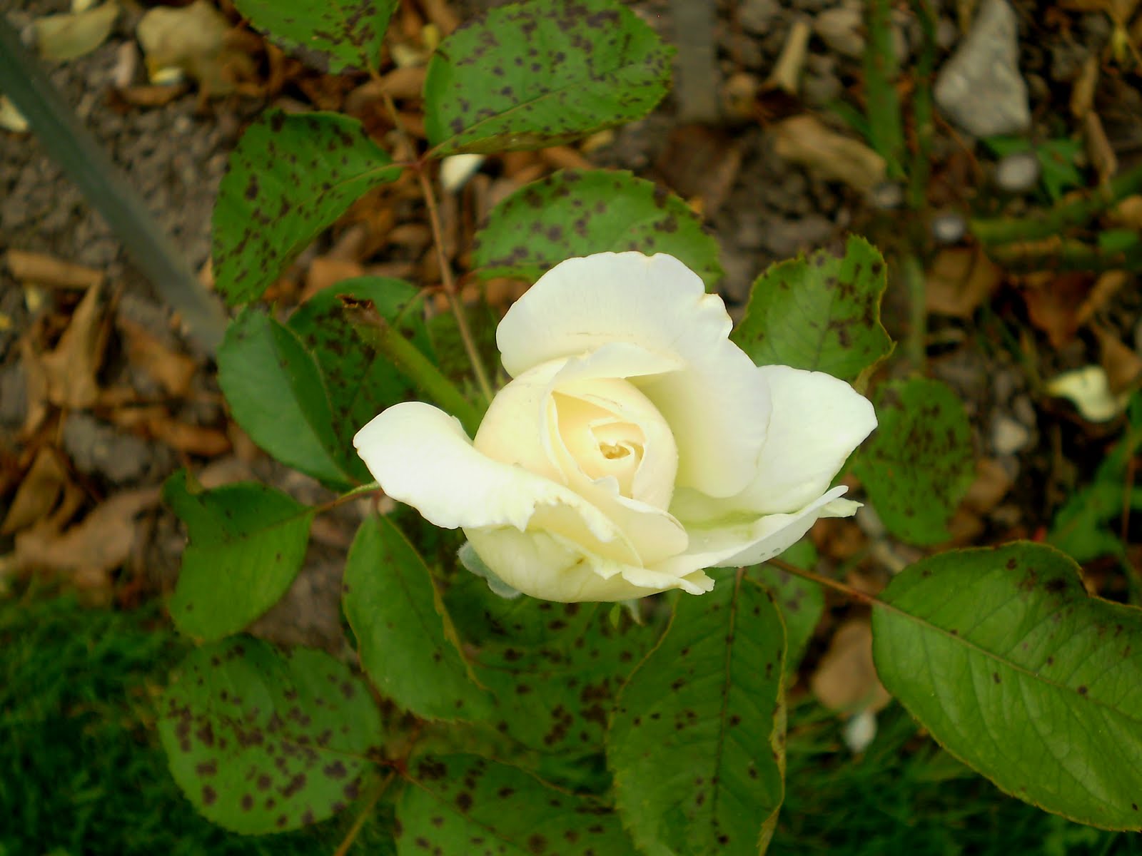 [P9161577.JPG]
