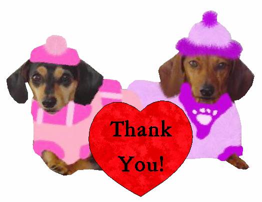 Image result for doxie thank you