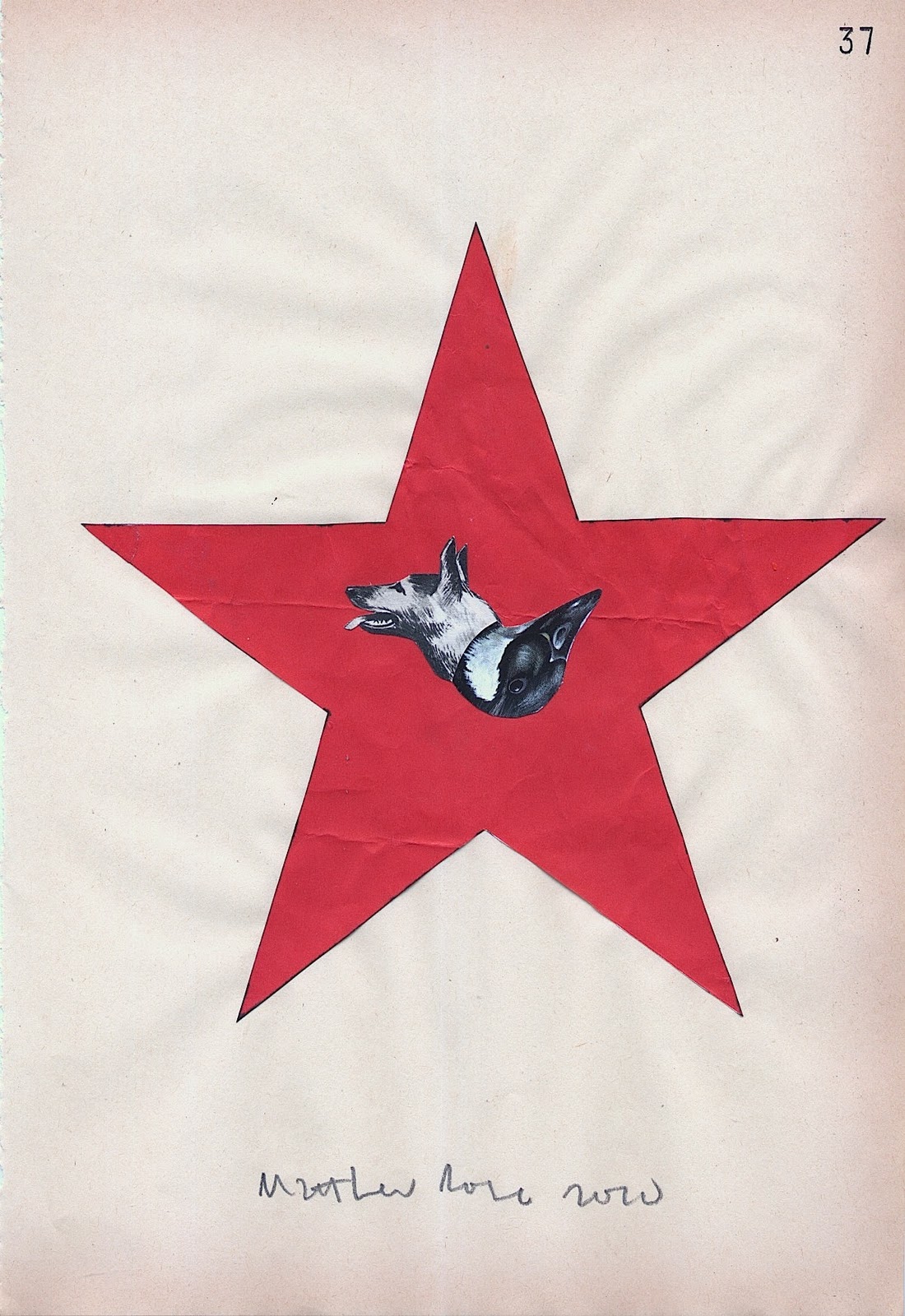 golden star chinese golden star chinese