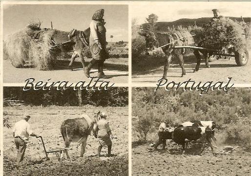 [Beira+Alta.JPG]
