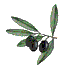 [2.gif]