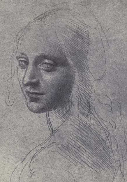 CG Database: Free eBook Download! The Drawings of Leonardo da Vinci.