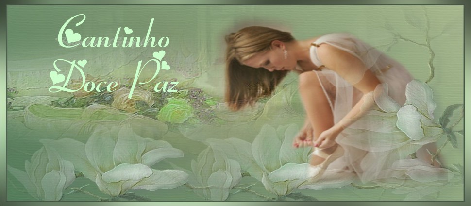 ♥¢αηtiηho đo¢є ραz♥ .◦‹ჱ