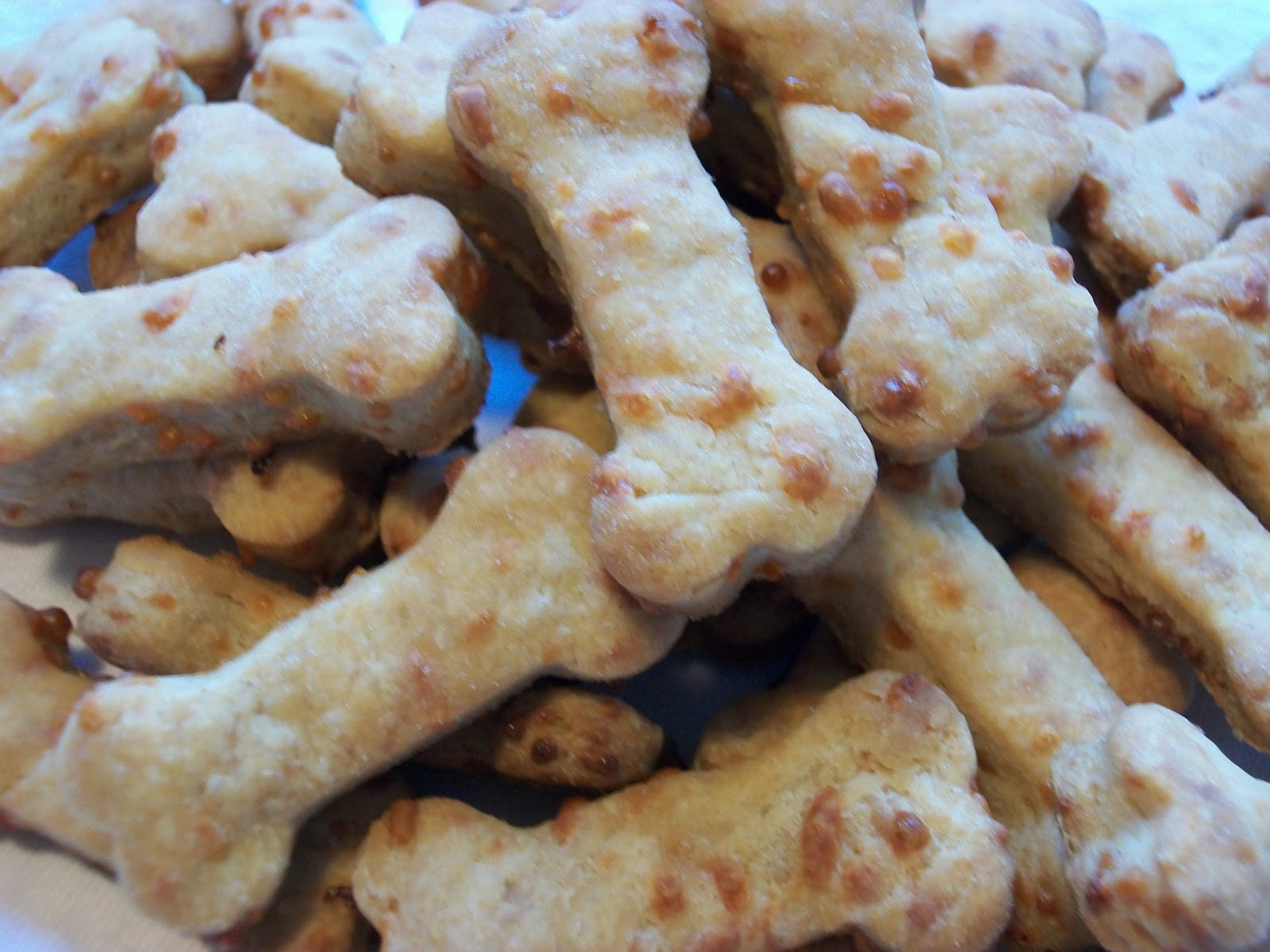 a girl, a dog & an oven Cooking for Canines Cheesy "Milk" Bones