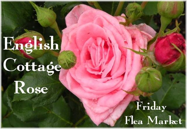 EnglishCottageRose