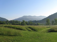 Views from Appalachia