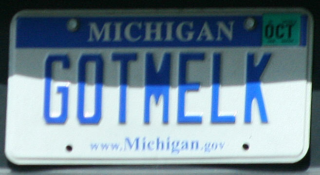 [License+Plate+-+GOT+MELK+-+Michigan.jpg]
