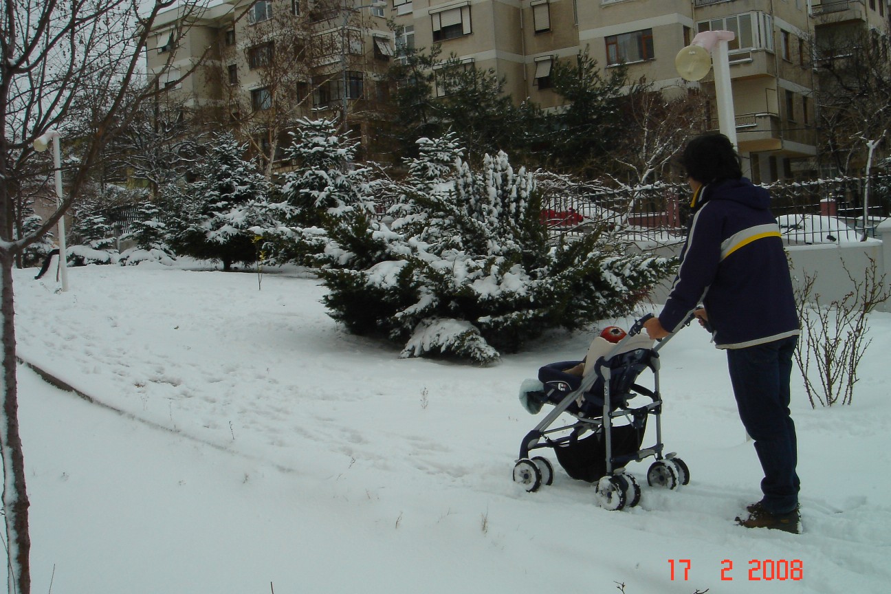 [DSC05256.JPG]