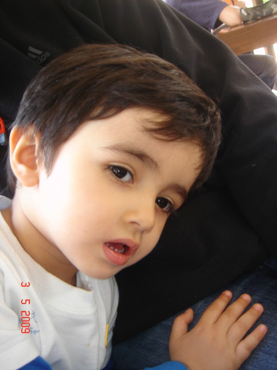 [DSC06991.JPG]