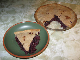 Lafayette Report Juneberries Are Ripe