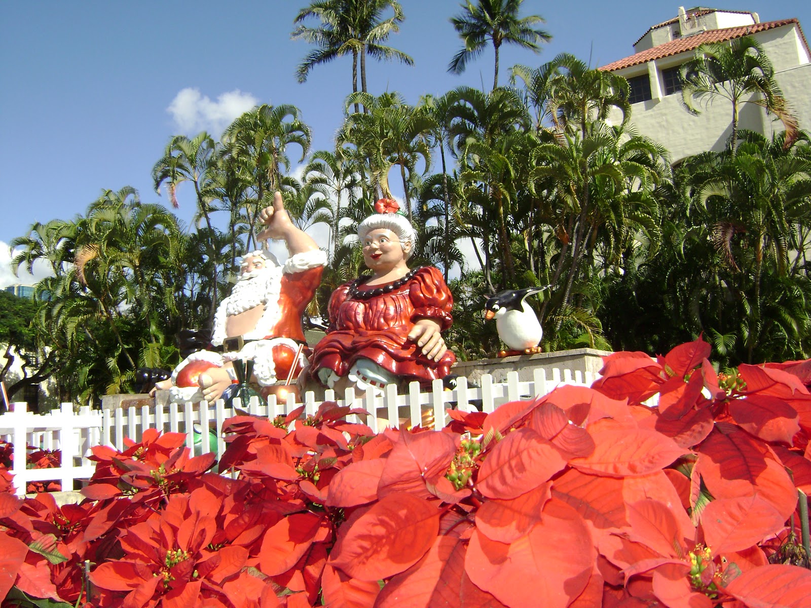 Gail M Baugniet Author CHRISTMAS IN HONOLULU, HAWAII
