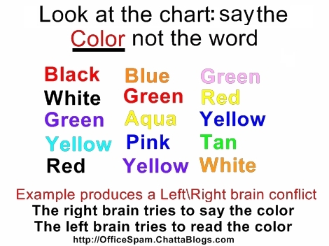Left Hemisphere Brain