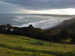 View from our camp in Raglan
