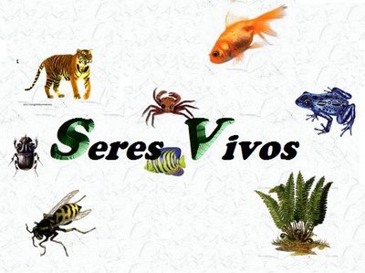 Seres No Vivos