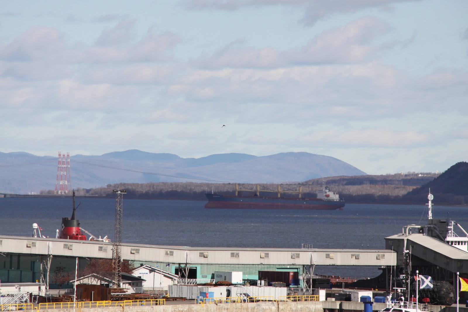 rencontre port cartier