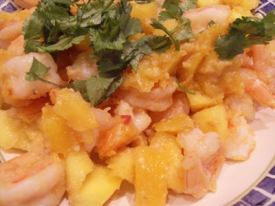 [alison+shrimp+mango]