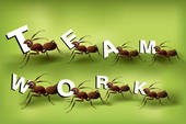 [cooperation8.jpg]