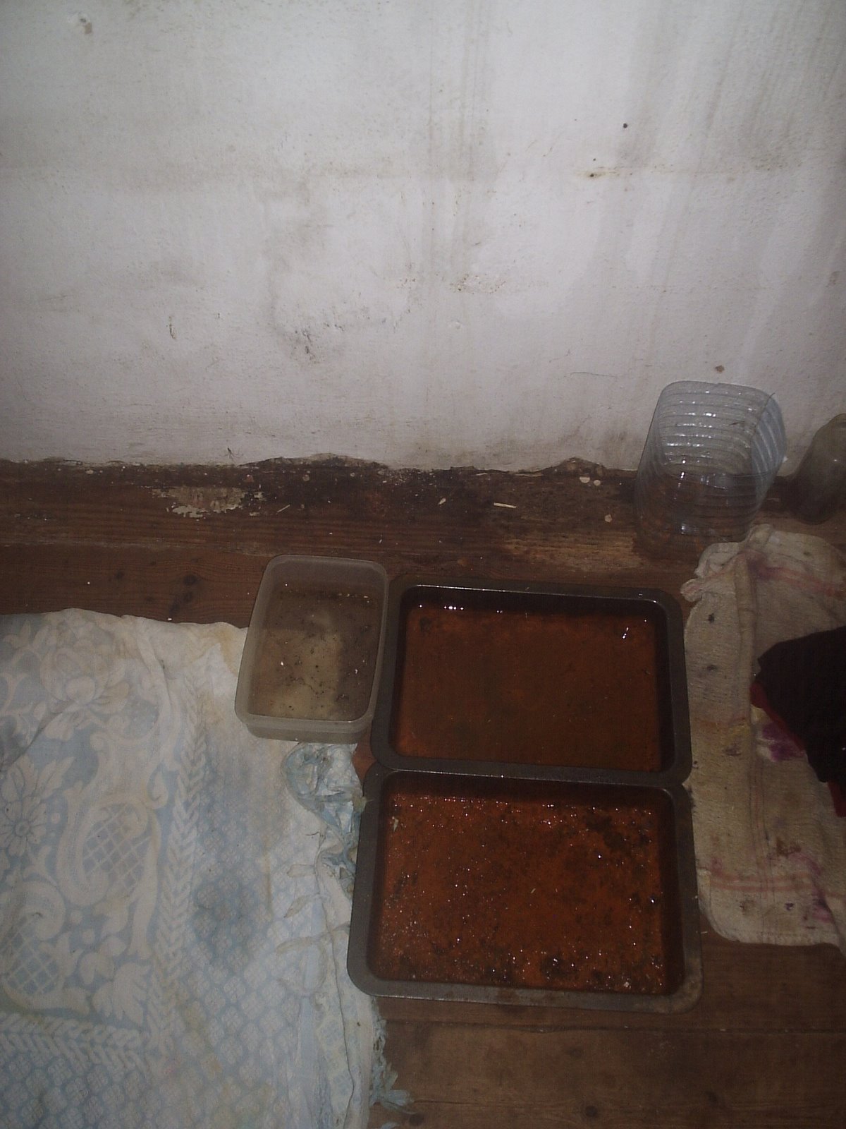 [P3020005.JPG]