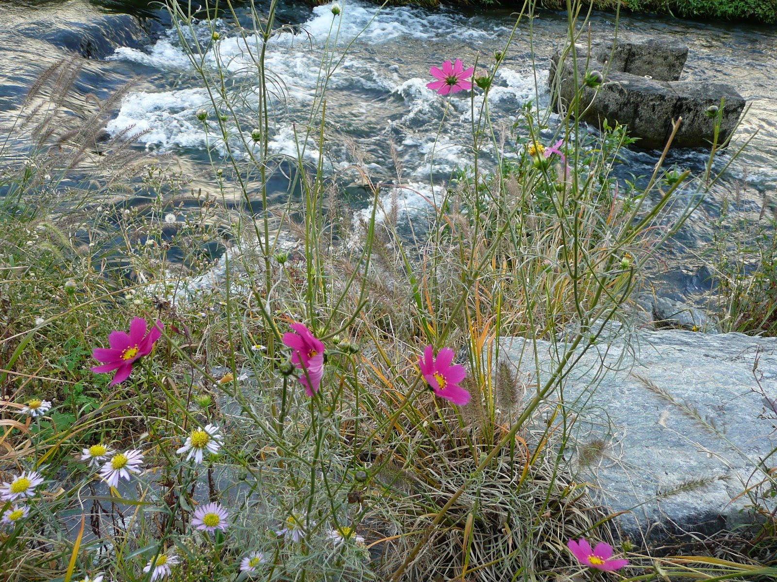 [P1050215.JPG]