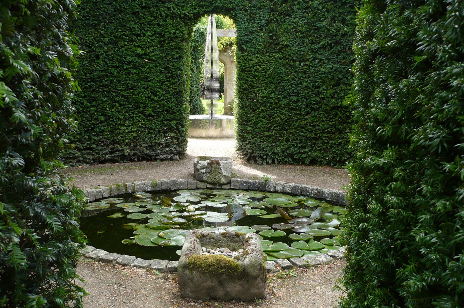 Photinia X Fraseri Red Robin Stock Photos Photinia X Fraseri Red