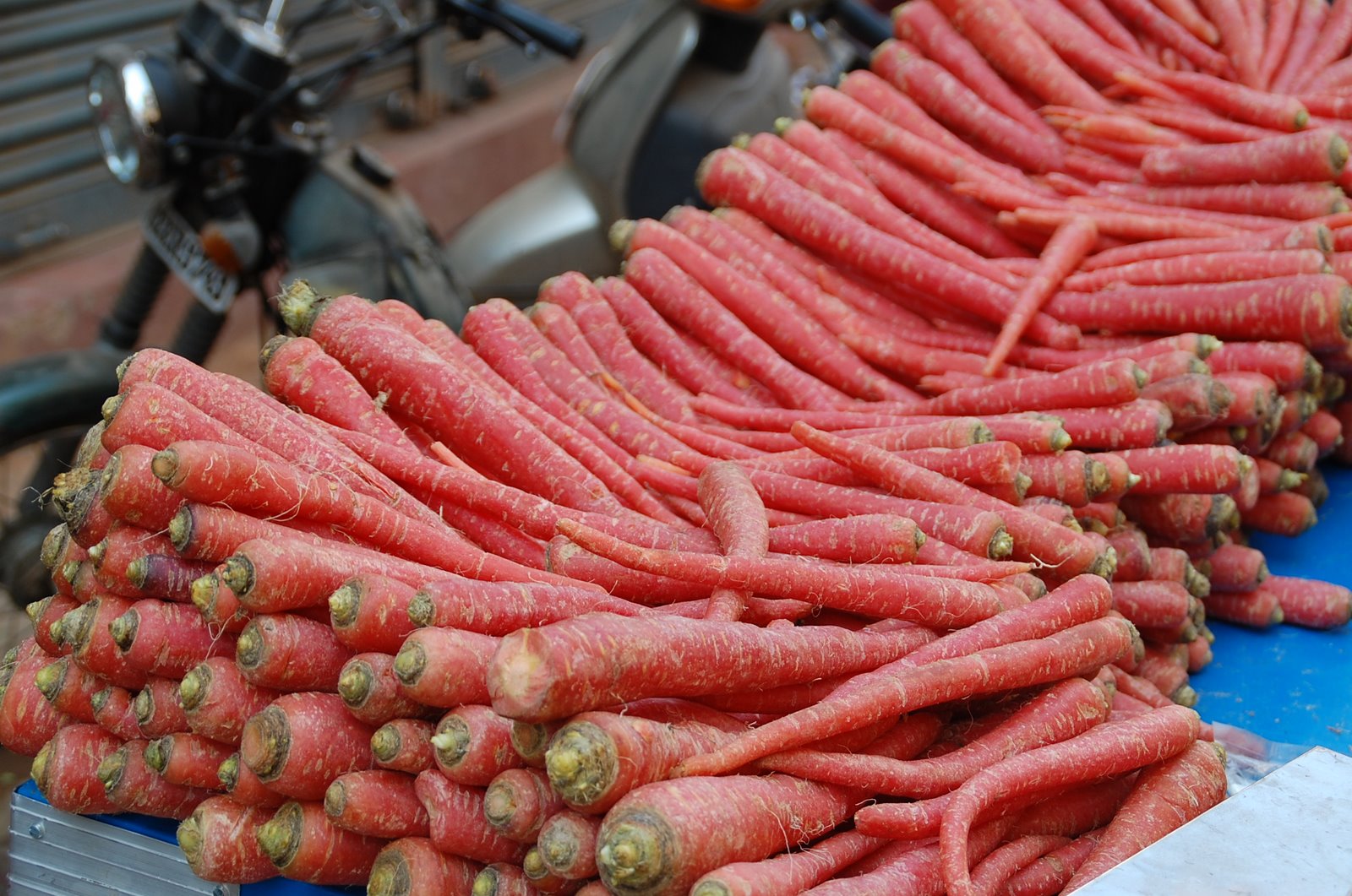 [!red+carrots.JPG]