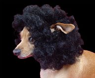 [Afro.bmp]