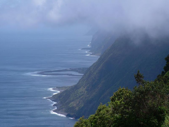 NORTH COAST OF S. JORGE. LAGOON OF FAJÃ DA CALDEIRA DOWN THERE