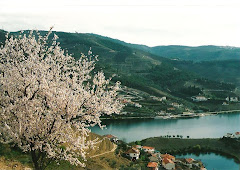 Descobrir Portugal