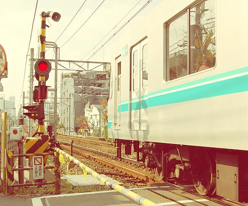 [4245508084_865a7752c2.jpg]