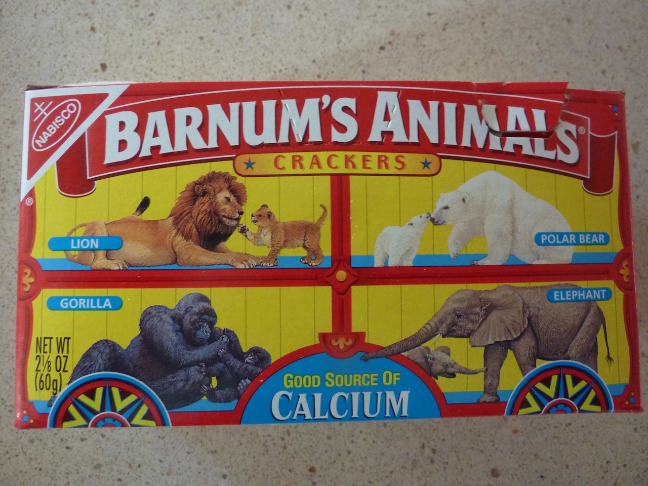 Blue Koi Studio Blog January 2011