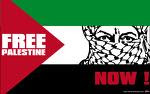 FREE PALESTINE!!!