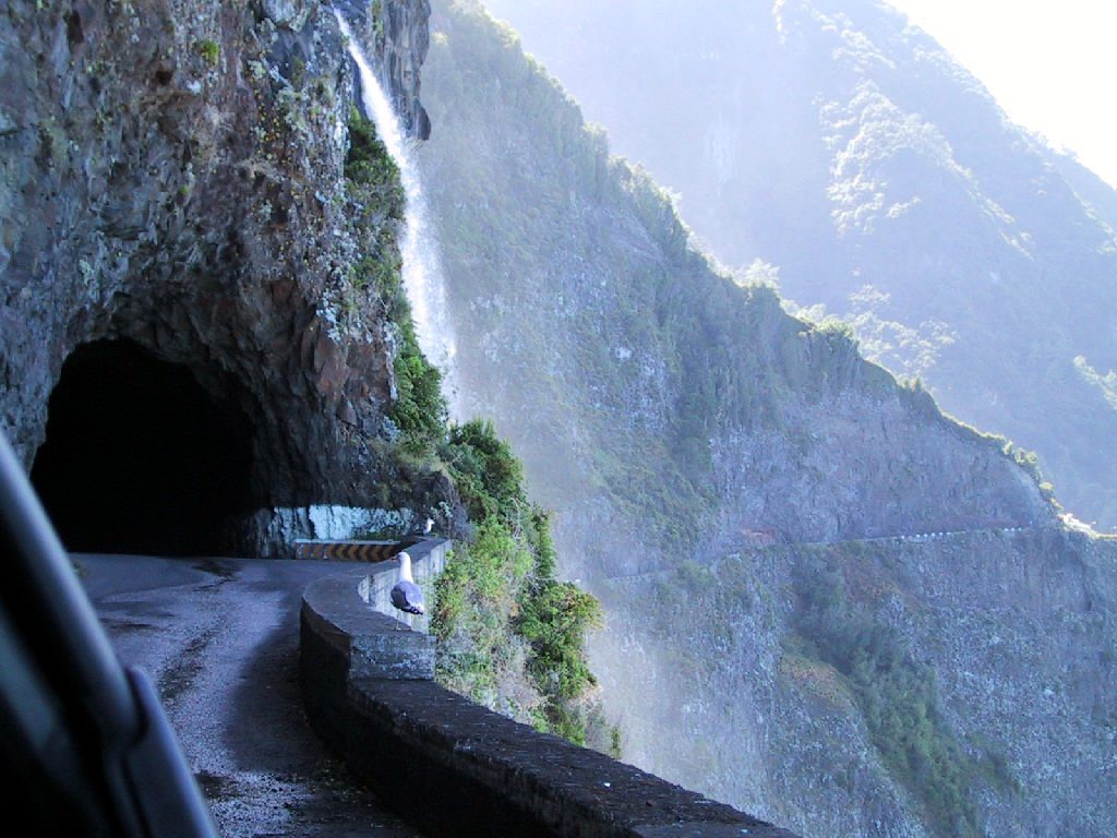 Madeira islands Portugal