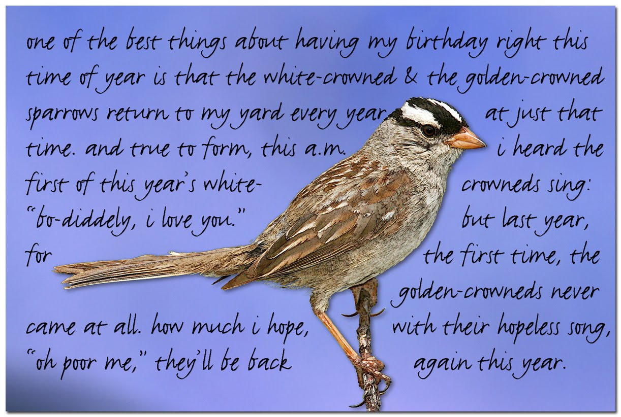 japonisme: 9/26/10 - 10/3/10