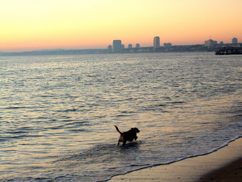 Jugando en el mar