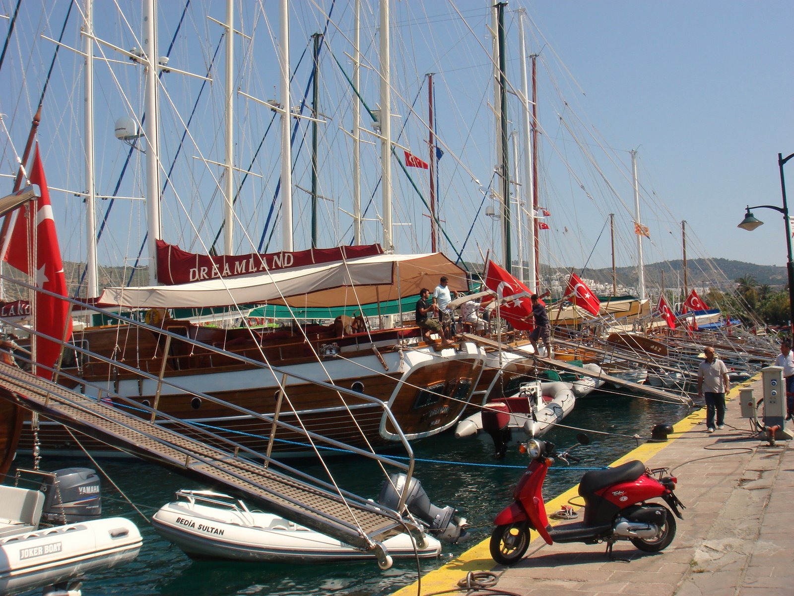 [GREGAS+228.jpg]