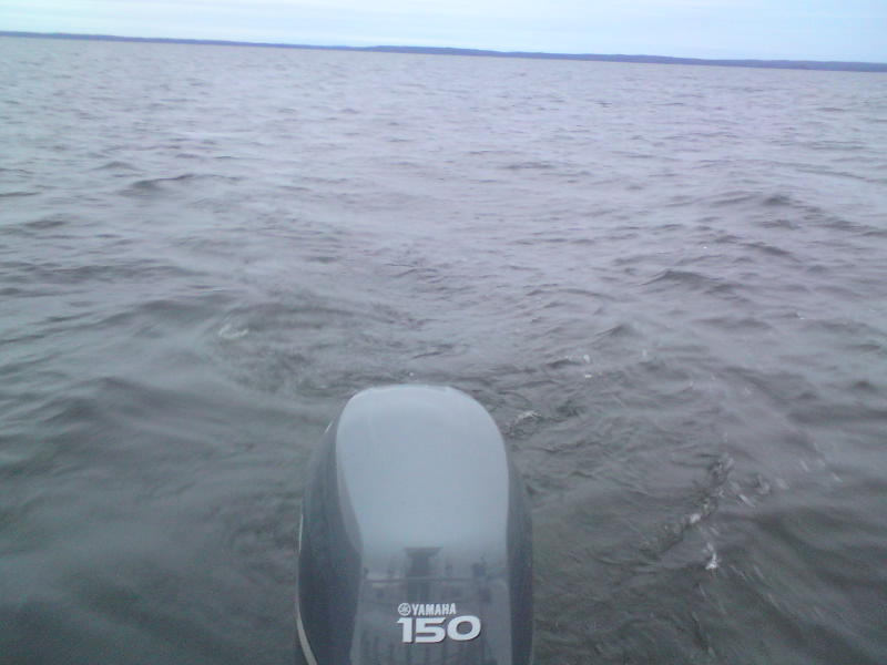 [image-upload-5-793239.jpg]