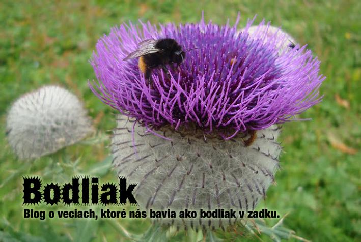 <p align="center"><b>BODLIAK</b></p>