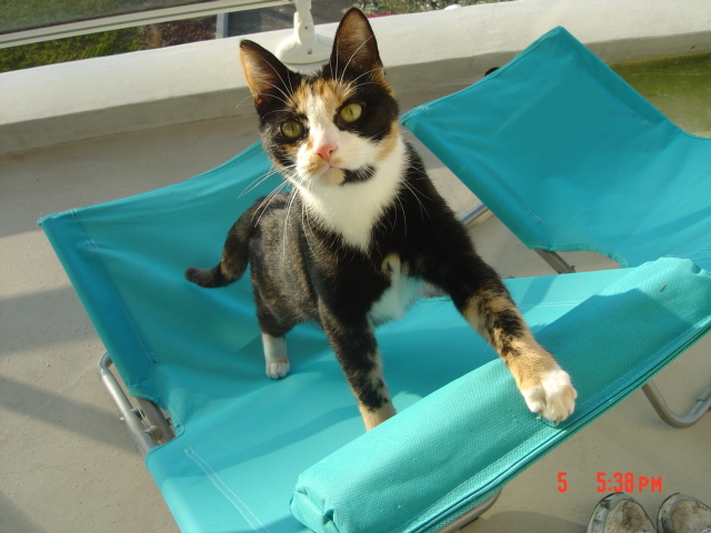 émerveillement pour le respect