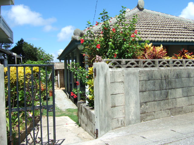 [DSCF6095.JPG]