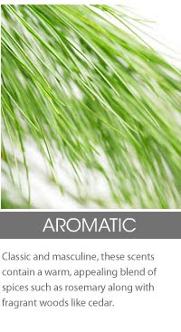 [aromatic.bmp]