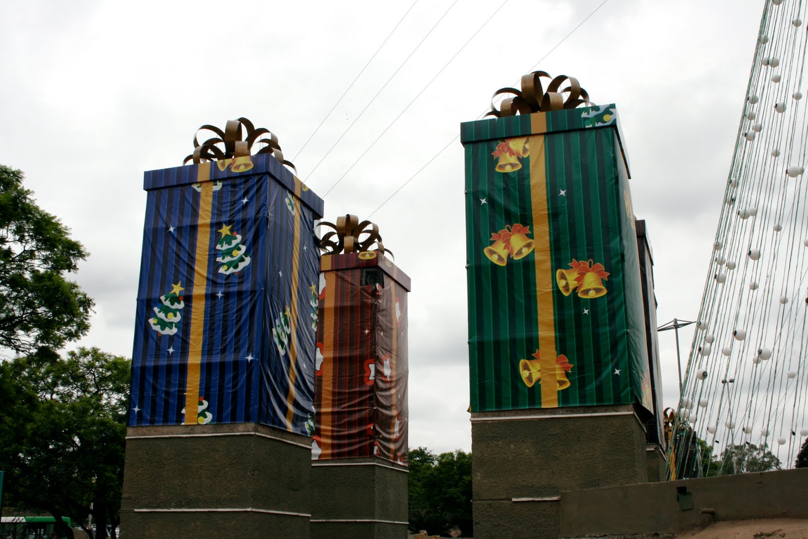 [IMG_8147.JPG]